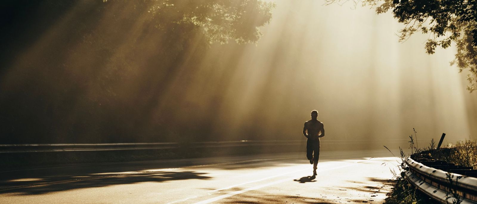 A runner on a tree-lined road with morning sun coming through the branches.