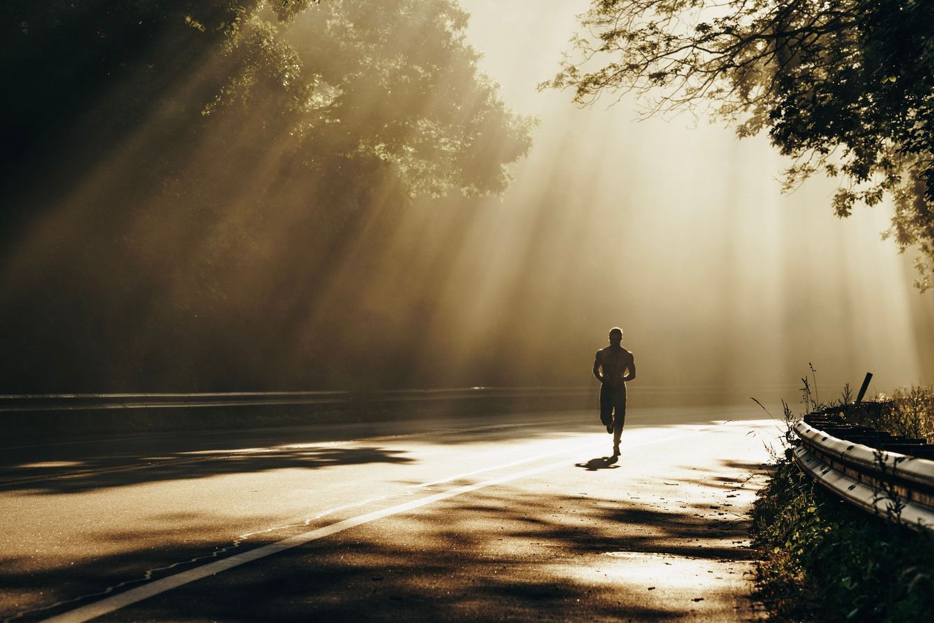 A runner on a tree-lined road with morning sun coming through the branches.